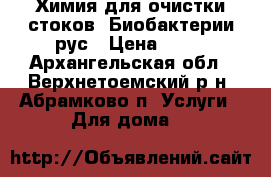 Химия для очистки стоков. Биобактерии.рус › Цена ­ 10 - Архангельская обл., Верхнетоемский р-н, Абрамково п. Услуги » Для дома   